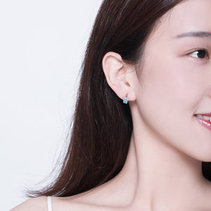 S925 Sterling Silver CZ Earrings for Women