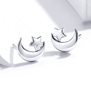 S925 Sterling Silver Earrings for Women