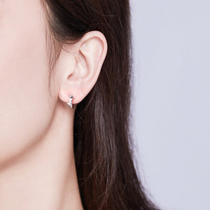 S925 Sterling SilverCZ Earrings for Women