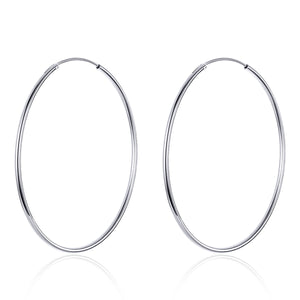 S925 Sterling Silver Earrings for Women