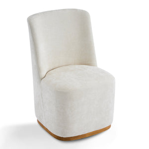 Modern Indoor Dining Chair Set of 2