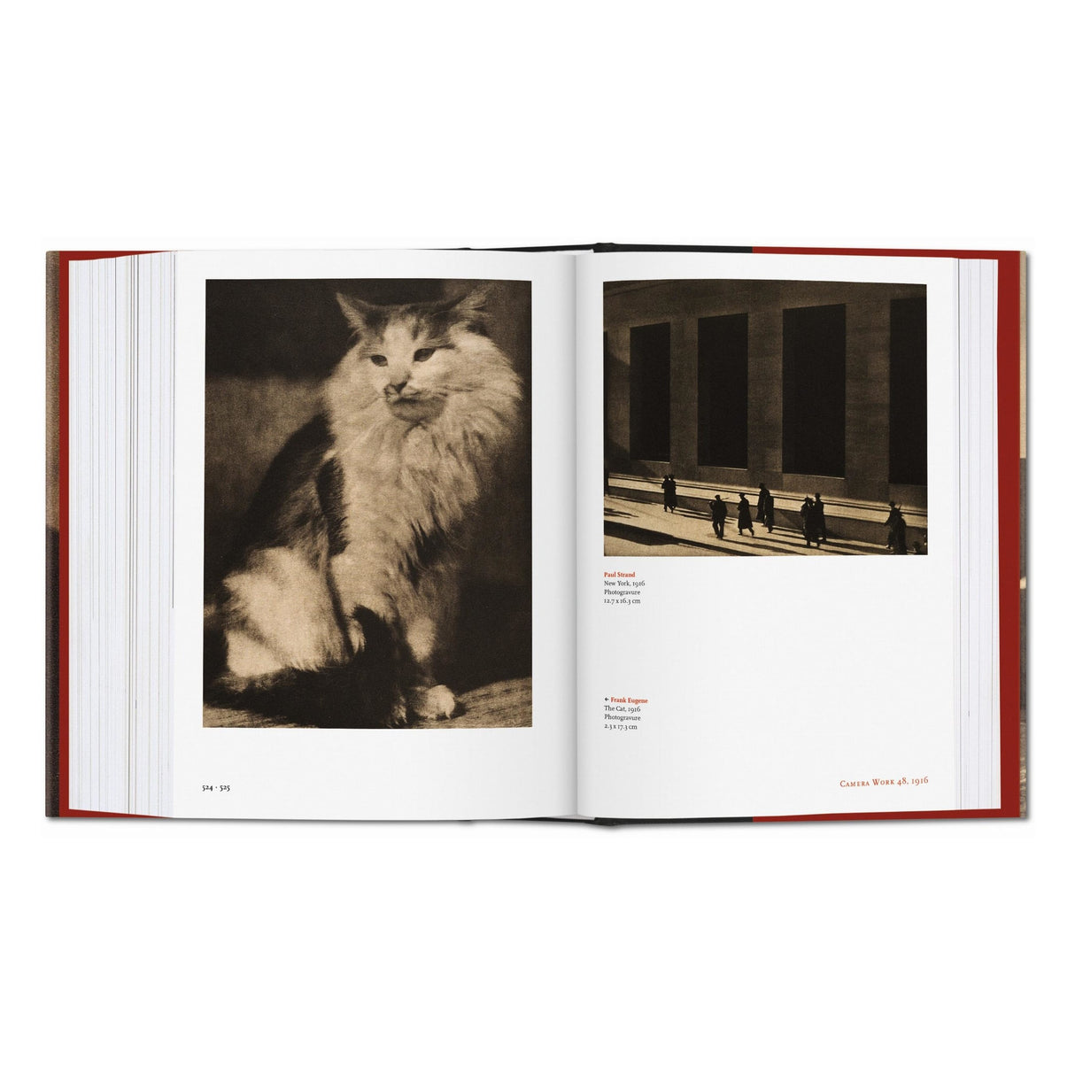 Alfred Stieglitz. Camera Work (German, French, English)