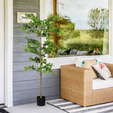 6FT Tall Artificial Tree, Fake Polyscias Fruticosa Plant for Indoor Decor