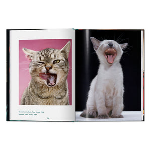 Walter Chandoha. Cats. Photographs 1942–2018 (English)