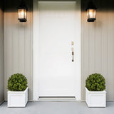 22in Boxwood Ball Shaped Artificial Topiary Shrubs Tree in Pot - 2pcs Set