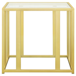 Adri Rectangular Glass Top Side End Table Matte Brass