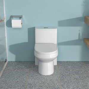 1 Piece Toilet For Bathroom, Dual Flush 1.1 / 1.6 Gpf, Soft Closing Seat - White
