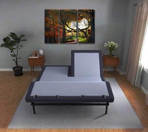 Bt3000 - Flex Head Adjustable Bed Base With Head And Foot Position Adjustment