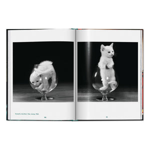 Walter Chandoha. Cats. Photographs 1942–2018 (English)