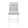 Ariya - Bar Stools (Set of 2)