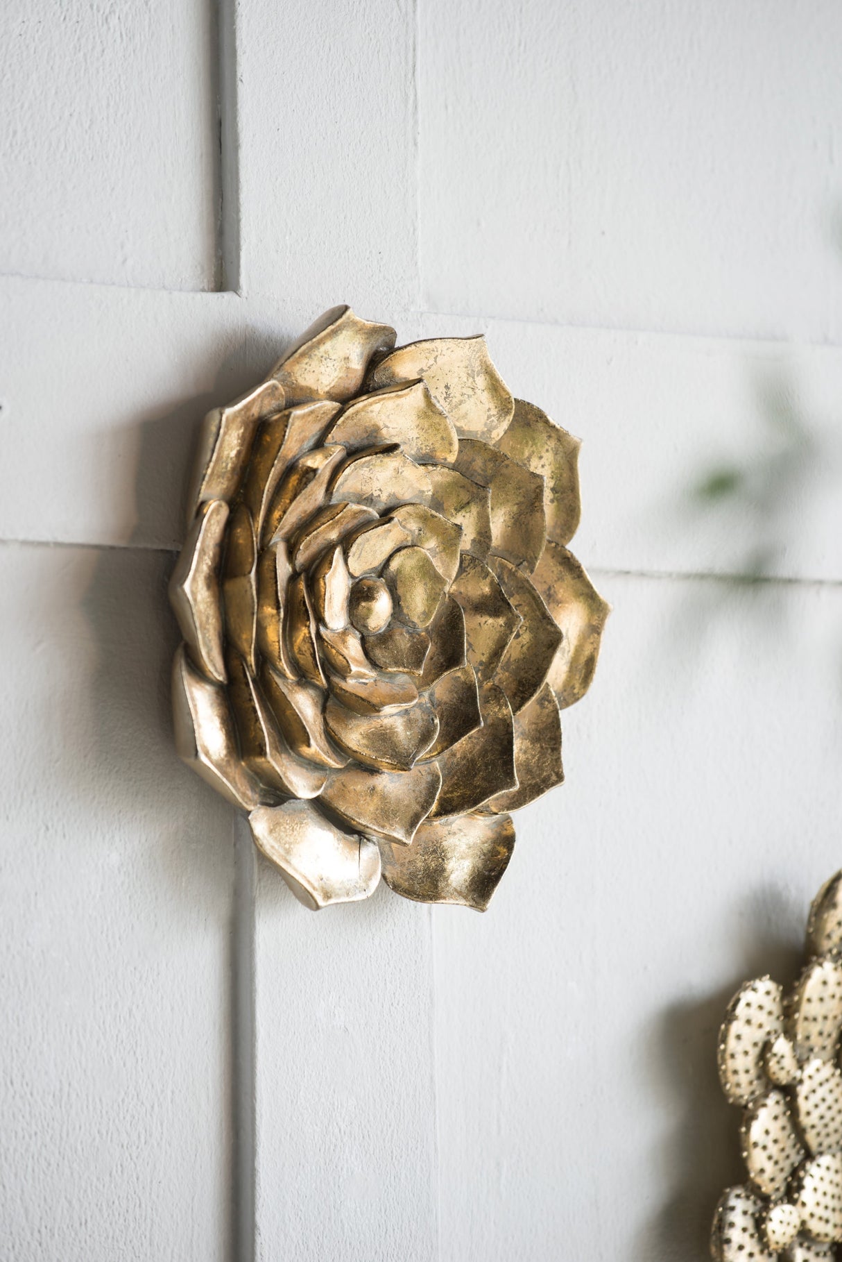 D10x1.4' Succulent Wall Plaque