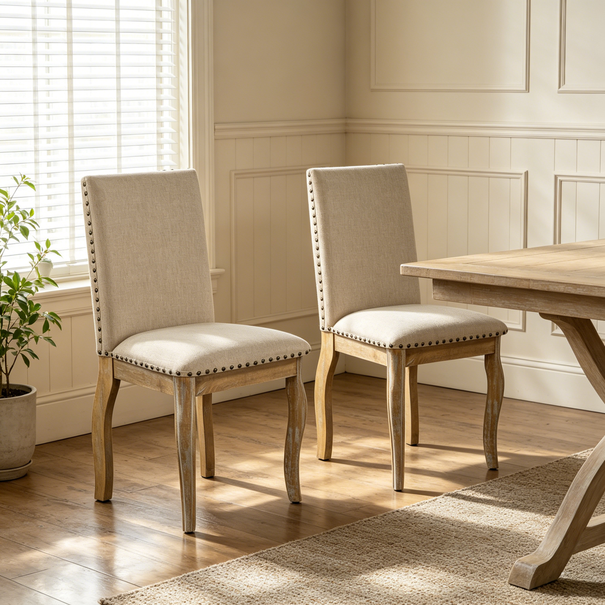 TREXM Set of 2 Dining Chairs