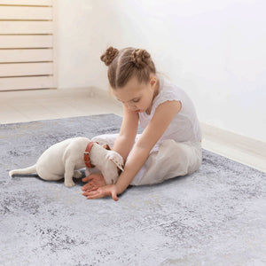 Maval - 6' X 9' Washable Area Rug - Gray / Gold