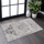 NAAR-PAYAS-Collection-Medallion-Non-Shedding--and-Stain-Resistant-Area-Rug-Area-Rugs