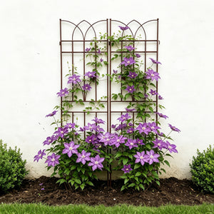 2 Pack Metal Garden Trellis