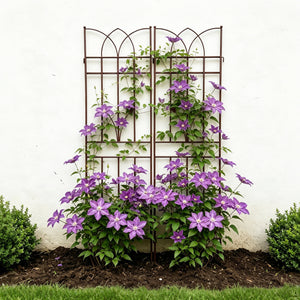 2 Pack Metal Garden Trellis