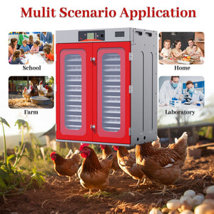 Commercial Egg Digital Cabinet Incubator With Auto Temperature & Humidity Control