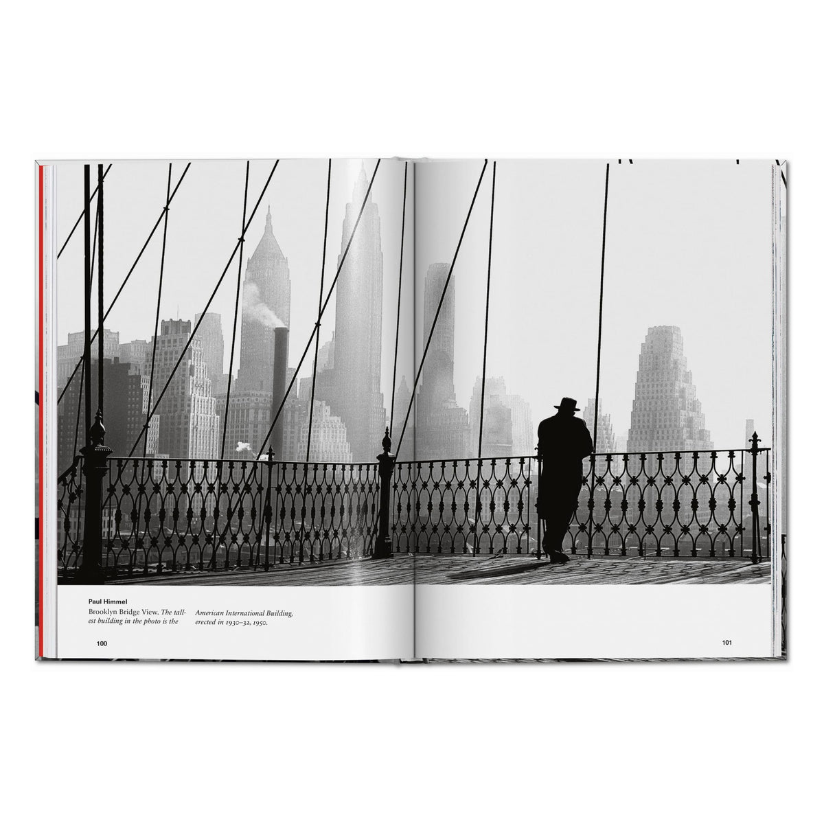 New York. Portrait of a City (English)