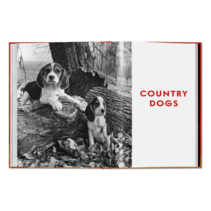 Walter Chandoha. Dogs. Photographs 1941–1991 (English)