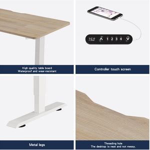 55"×24" Light Electric Standing Desk
