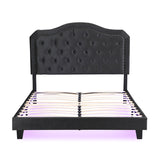 Queen Upholstered Bed Button Tufted with Curve Design