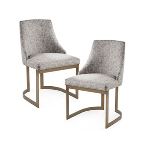 Contemporary Modern Accent Dining Chairs (Set of 2)