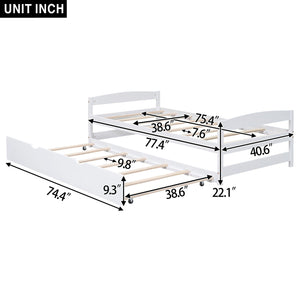 Platform Bed With Trundle