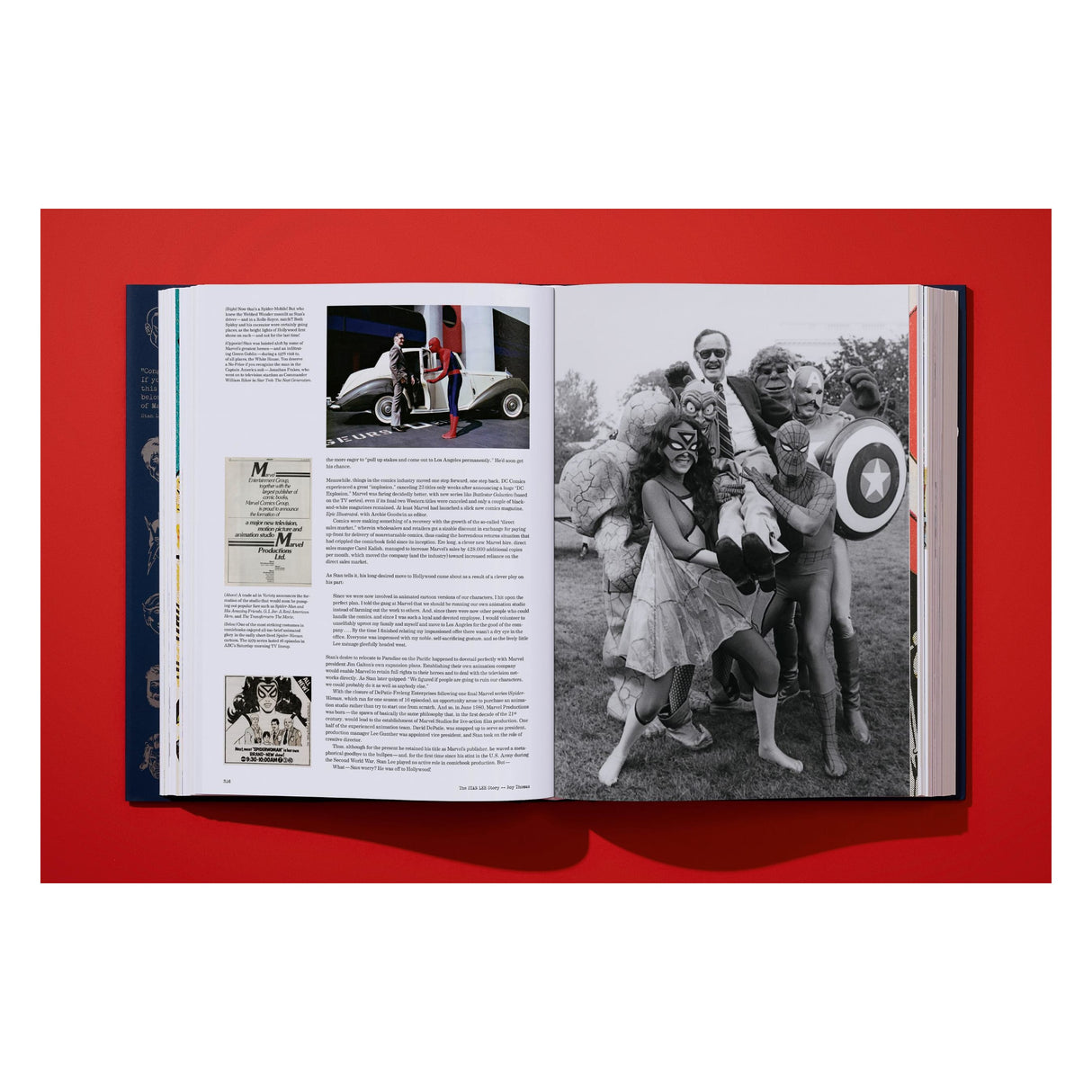 The Stan Lee Story (English)