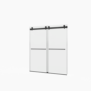 Frameless Double Sliding Shower Door