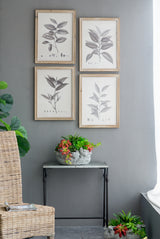 15.7x20.7'-Botanical-Wall-Décor,-Set-of-4-Wall-Art