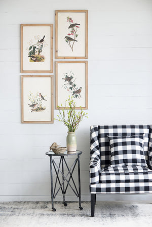 Set of 4 Bird Framed Prints