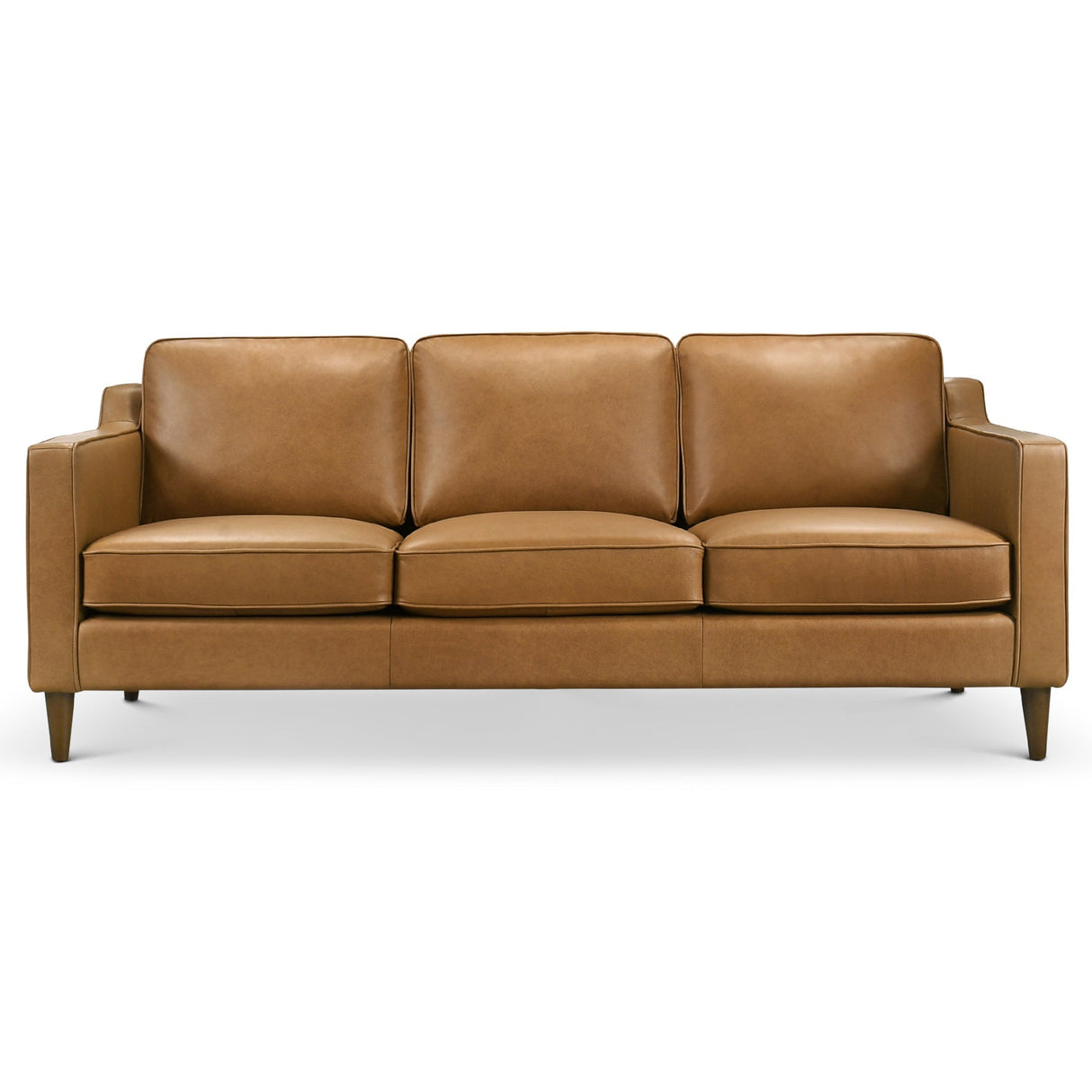Cooper Mid Century Modern Sofa