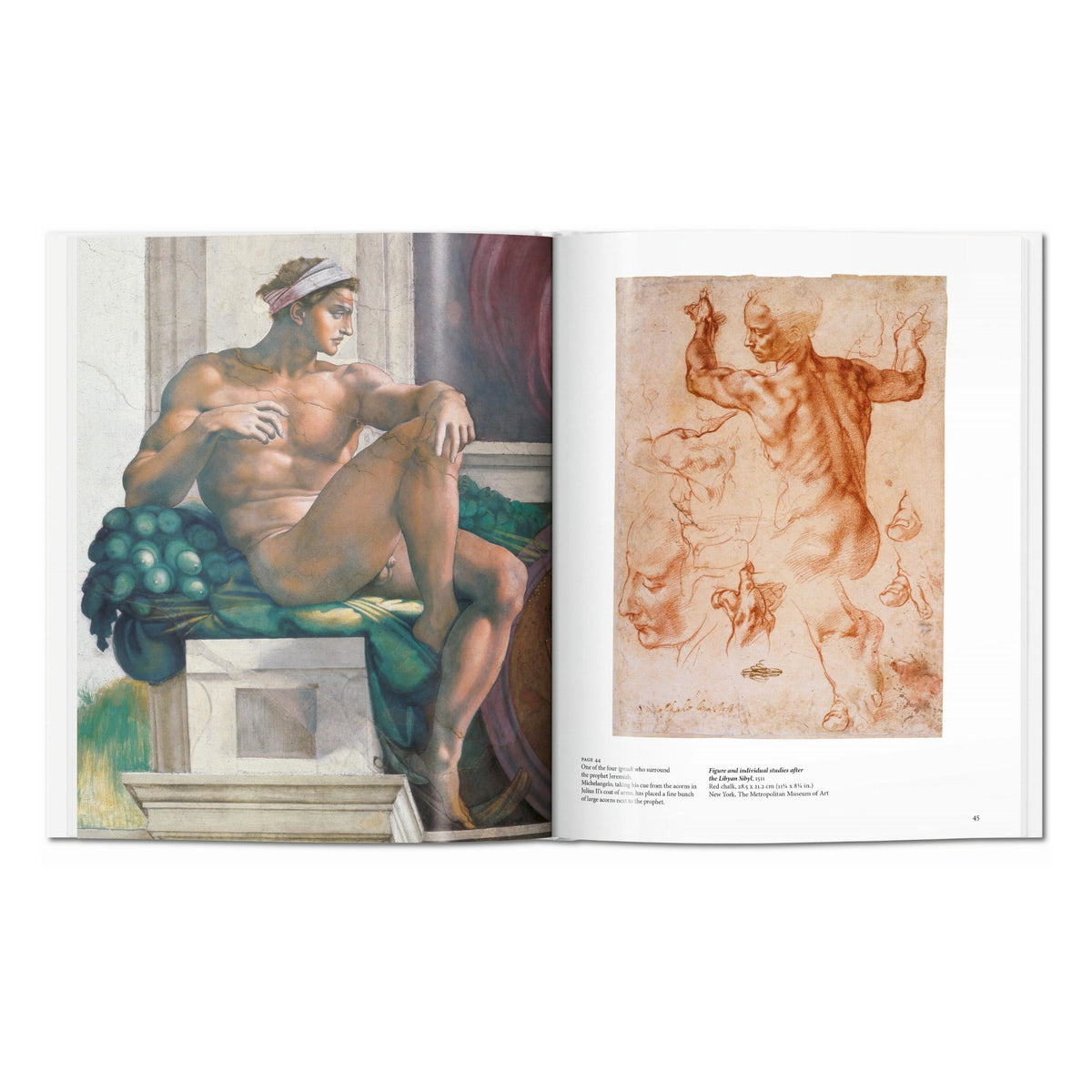 Michelangelo (English)
