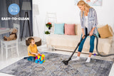 NAAR PAYAS Traditional Non-Shedding and Stain Resistant Area Rug