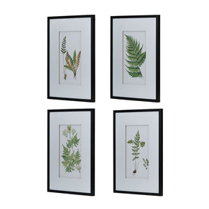 Botanical And Fern Wall Art, Wall Decor For Living Room Dining Room Entryway (Set of 4) - White / Black