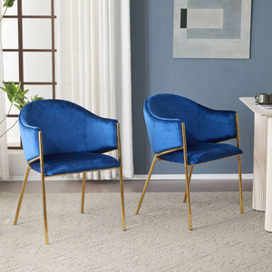 Modern Upholstered Dining Chair with Frame and Plush Comfort