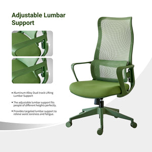 Ergonomic Colorful Office Chair