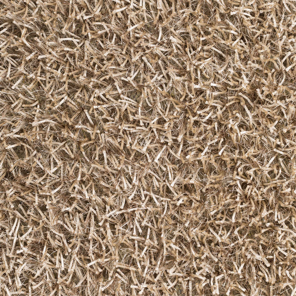 Egan Area Carpet - Clearance