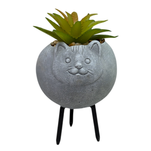 Faux Light Green Succulent In Planter - Cat