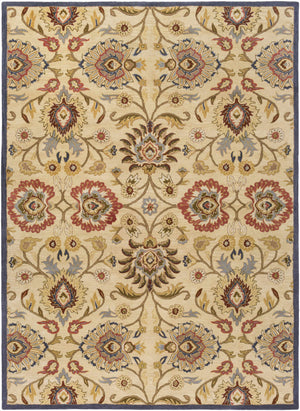 Caesar 1116 Hand Tufted Beige & Rust Wool Rug