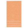 Embroidered Edison 4 Piece 100% Cotton Hand Towel Set | Luxury Hand Towels