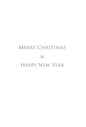 Value Card Set - Tis the Season - 18 Cards and Envelopes