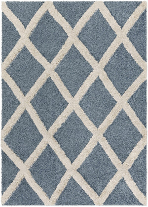 Esenler Modern Shag Carpet - Clearance