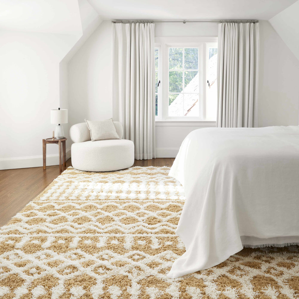 Evely Shag Area Rug
