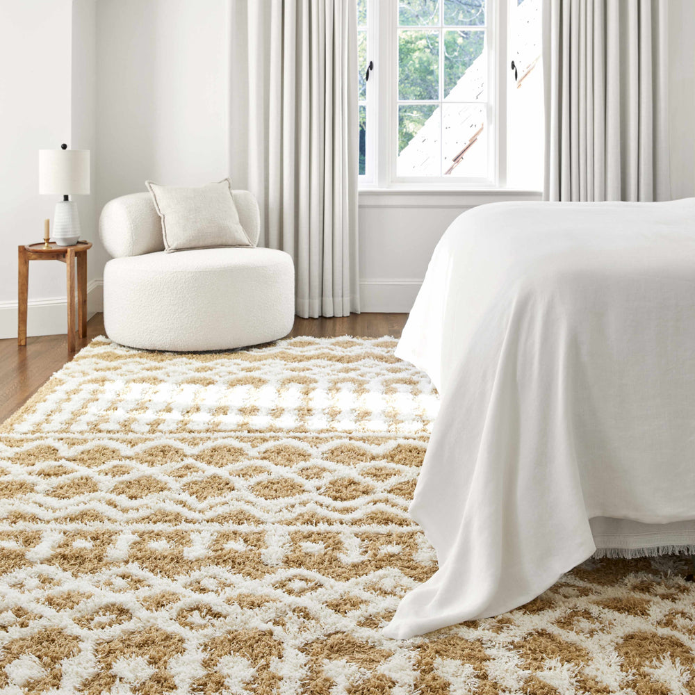 Evely Shag Area Rug