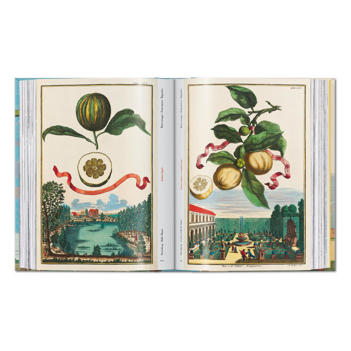 J. C. Volkamer. The Book of Citrus Fruits. 45th Ed. (German, French, English)