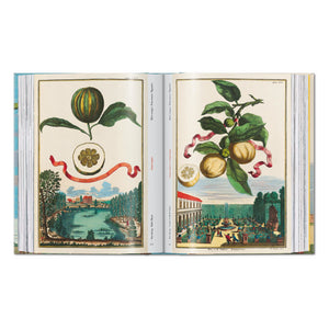 J. C. Volkamer. The Book of Citrus Fruits. 45th Ed. (German, French, English)