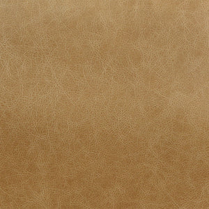 Pippin - Accent Chair - Morocco Top Grain Leather
