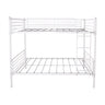 Space Saving Bunk Bed With Metal Frame And Ladder