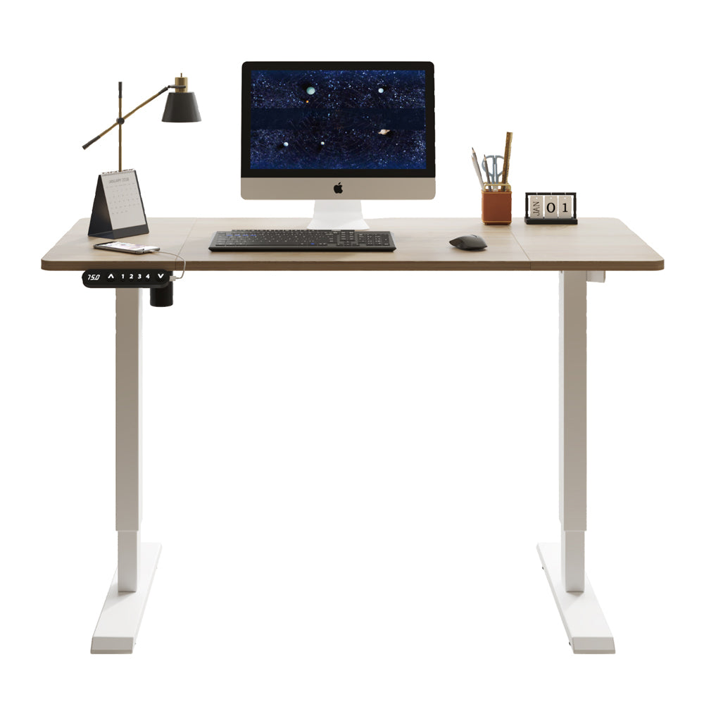 55"×24" Light Electric Standing Desk